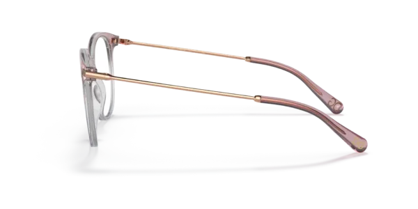 Dolce & Gabbana DG5071